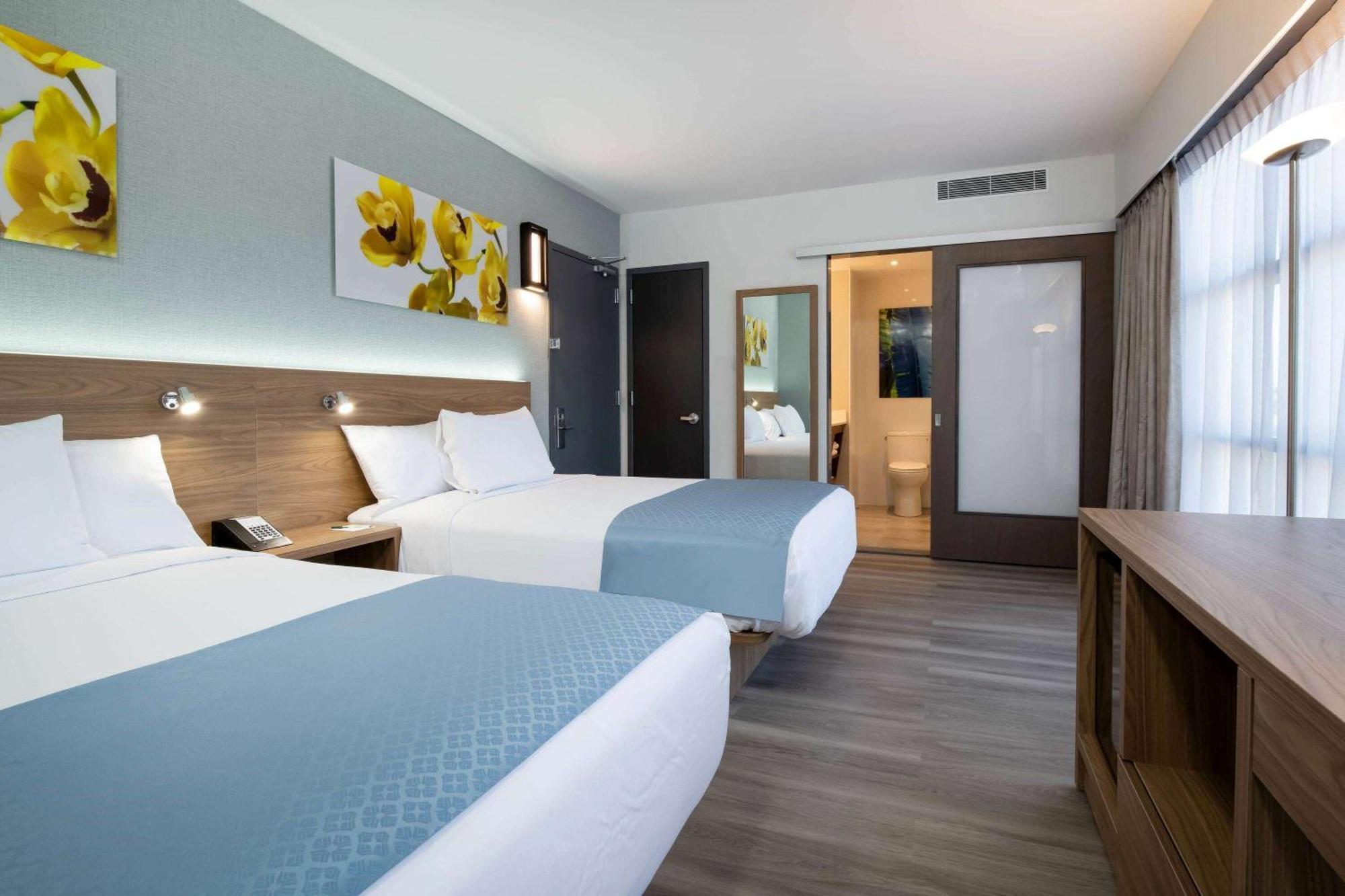 Double Room with Two Double Beds - Non-Smoking