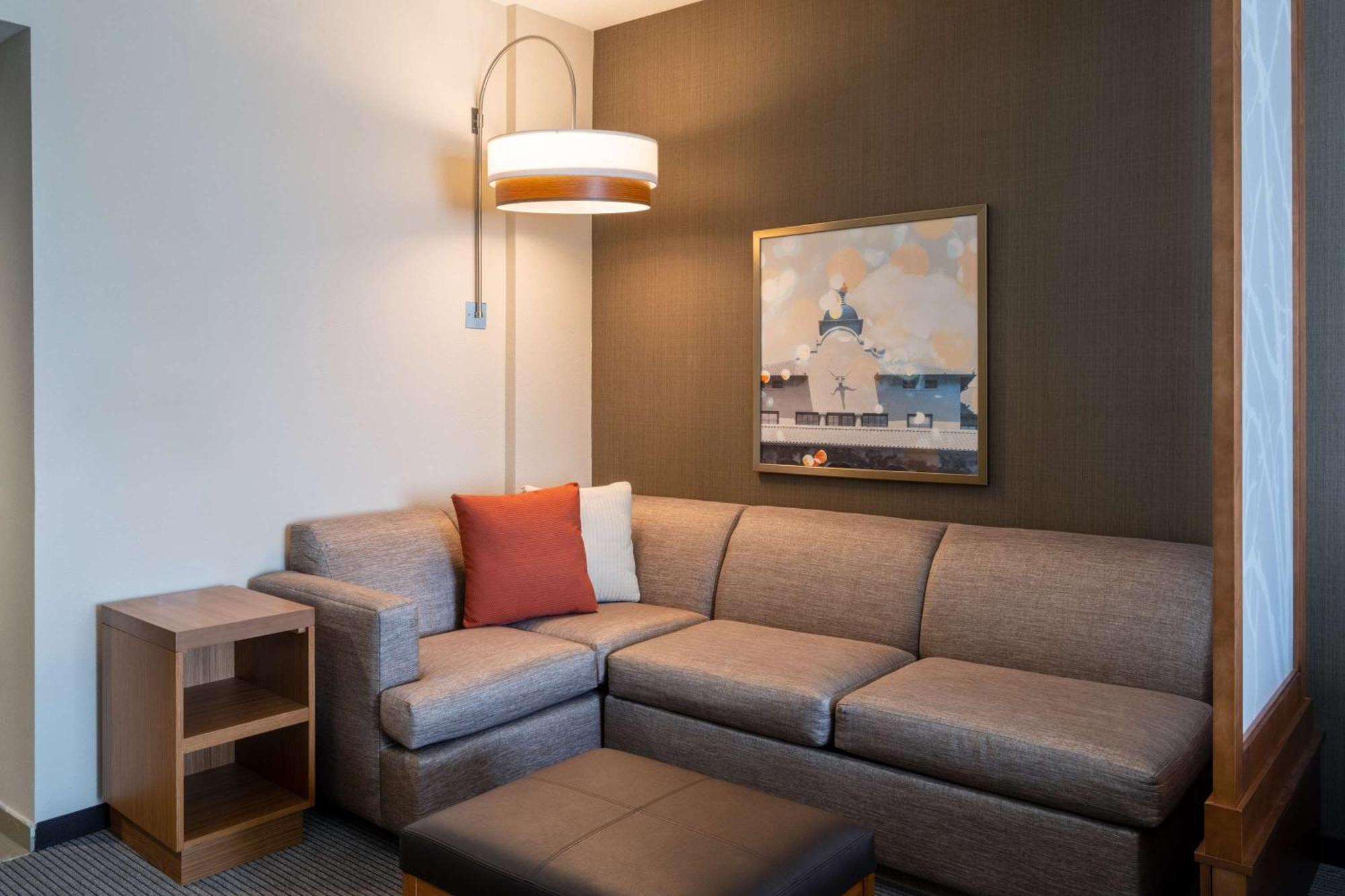 Specialty King Room with Sofa Bed