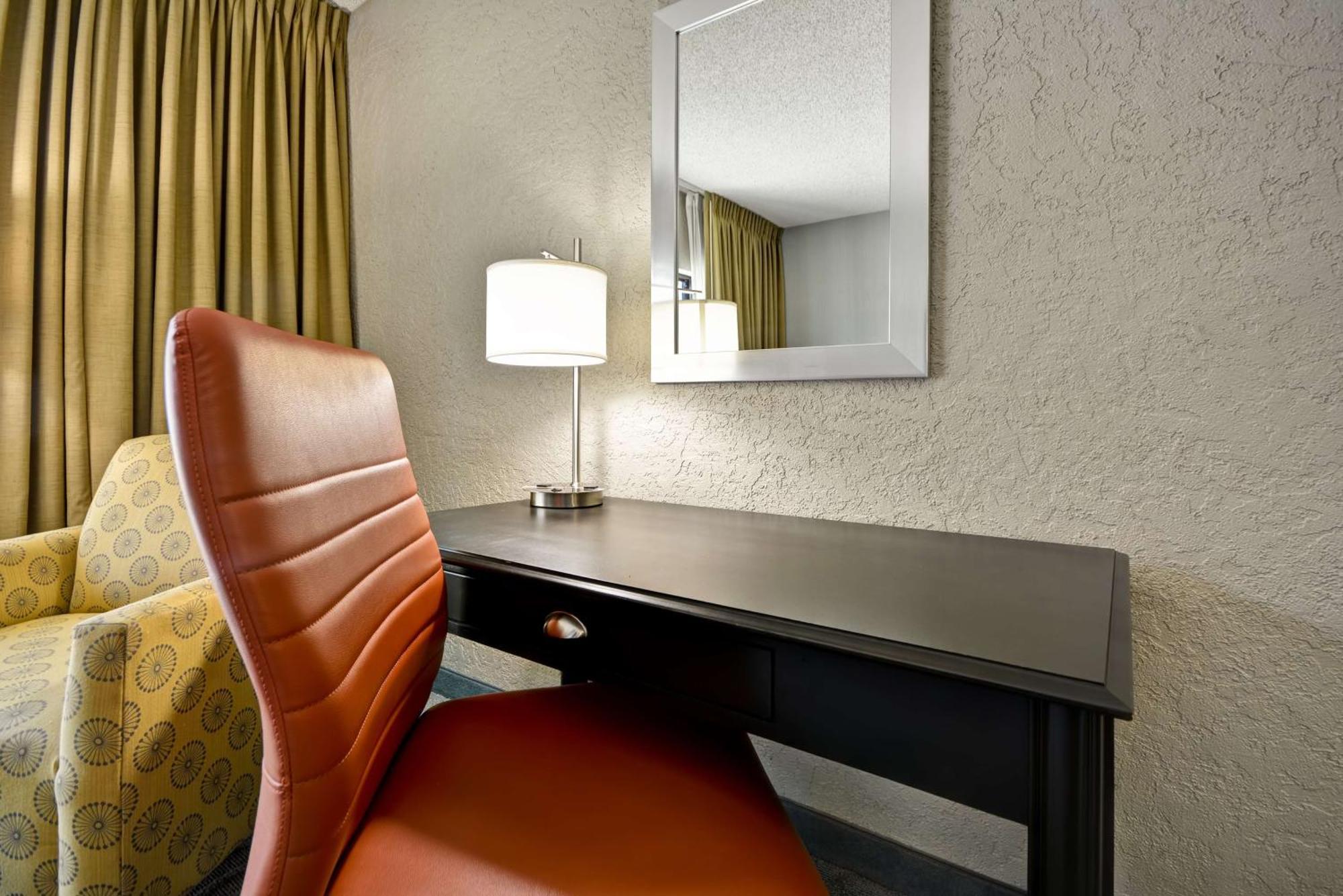 Junior King Suite with Sofa Bed