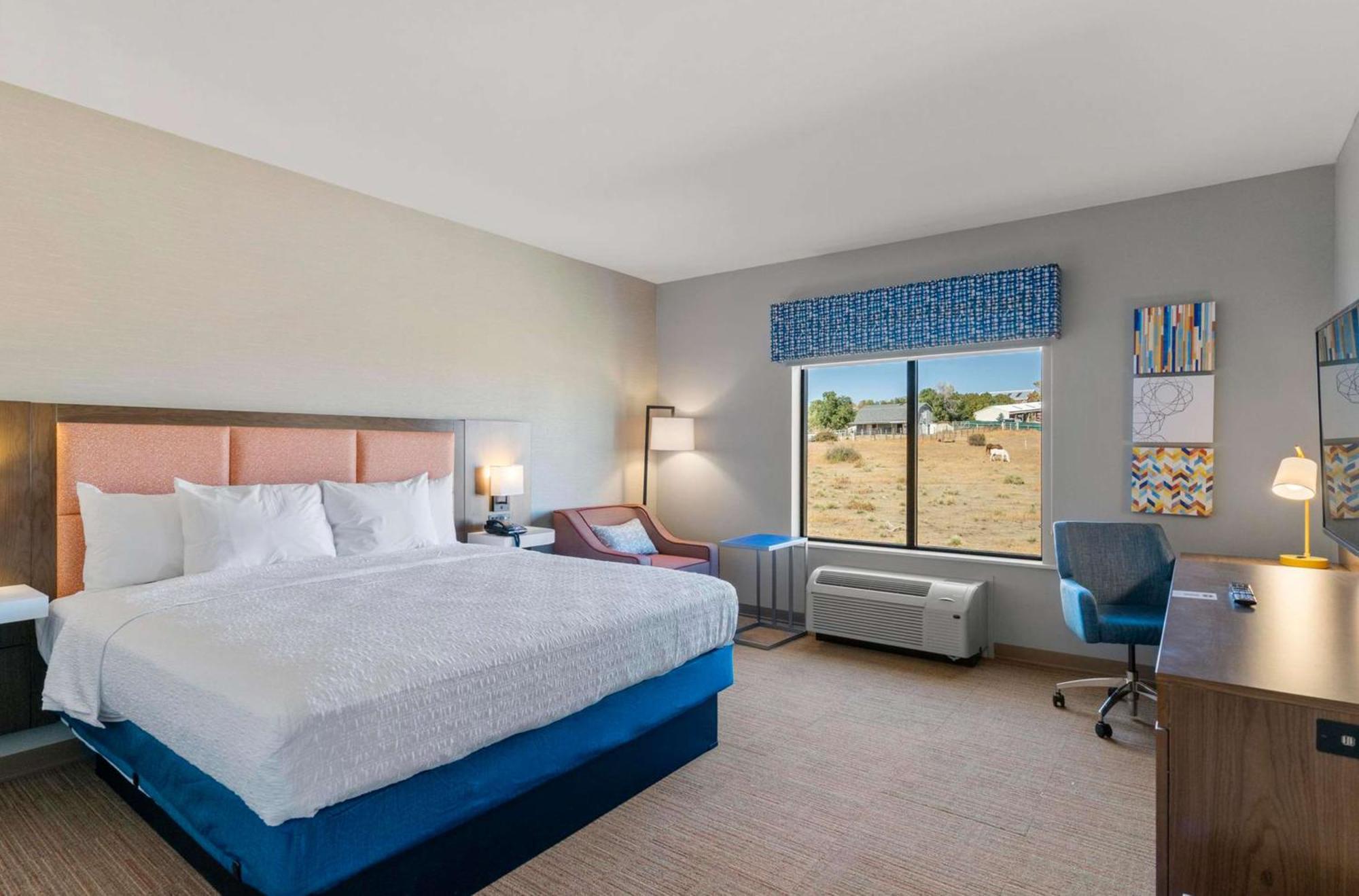 King Room with Microwave and Fridge