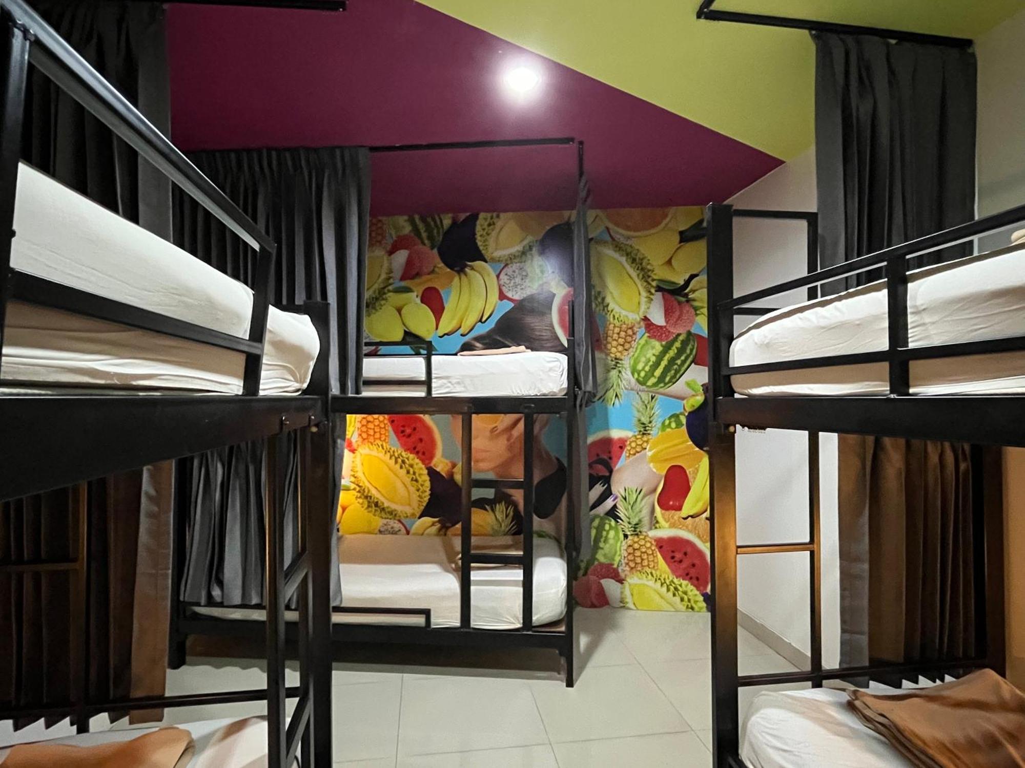 Bed in 6-Bed Mixed Dormitory Room