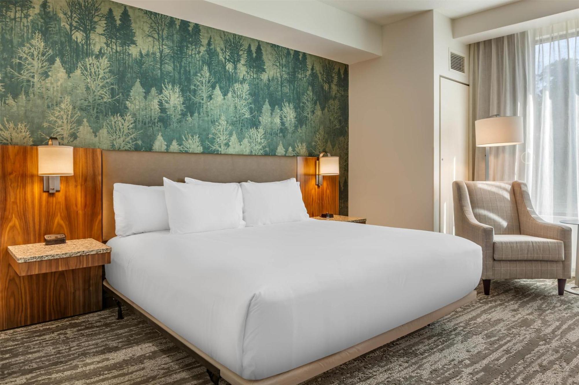 King Suite with Sofa Bed - Accessible, Roll-in Shower