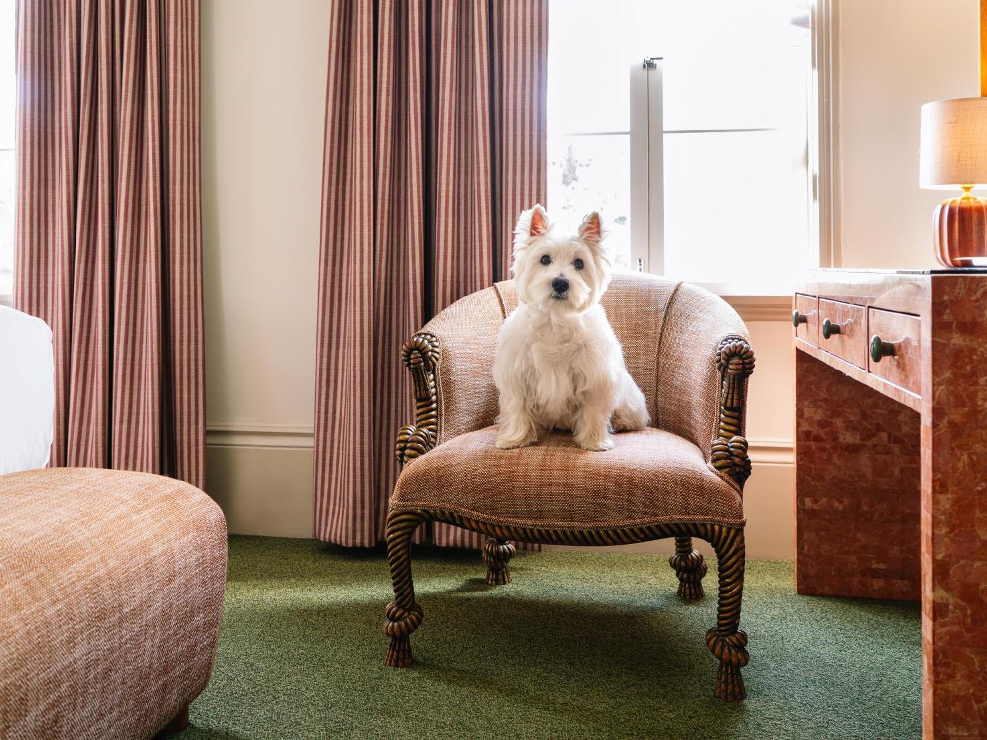 King Suite