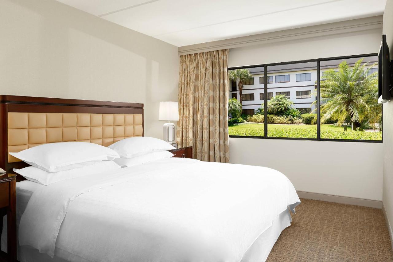 1 Bedroom Suite, 1 King, Sofa bed