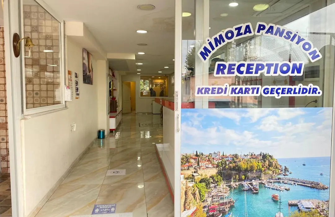Mimoza Pansiyon-1