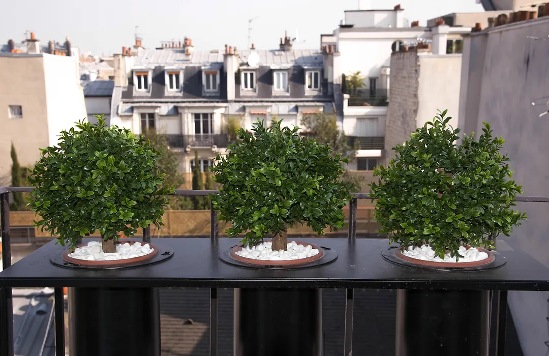 Hotel Zelie Champs-Elysees-1