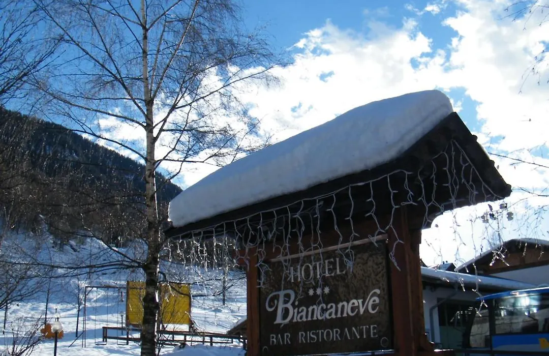 Hotel Biancaneve-1