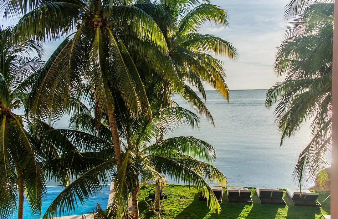 Casa Tortugas Boutique Hotel - A Hidden Gem In Cancun-1