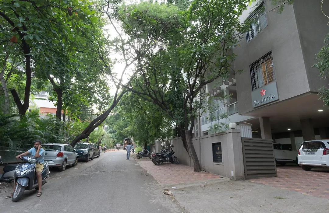 Bauhinia-1