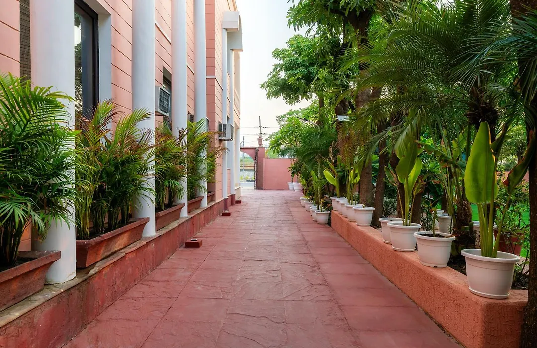 Nine Palms-1