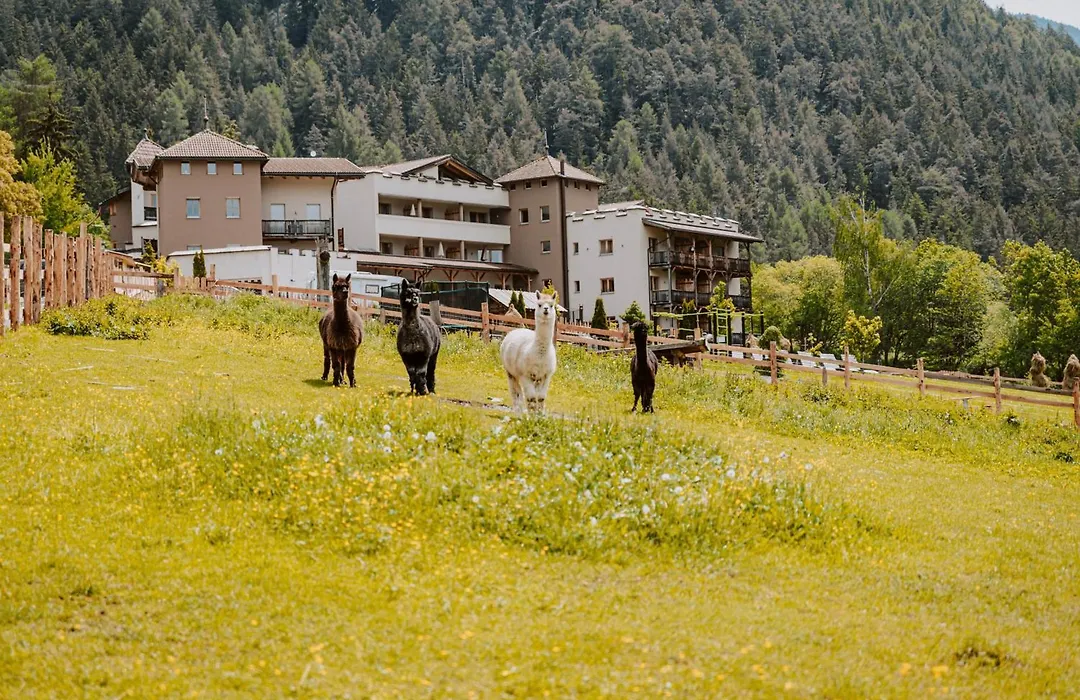 Hotel Bergschloessl-1