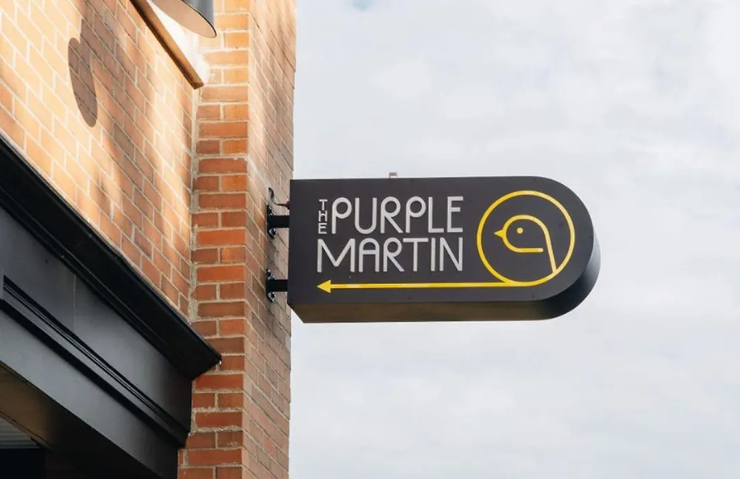 The Purple Martin - The Odd Bird-1