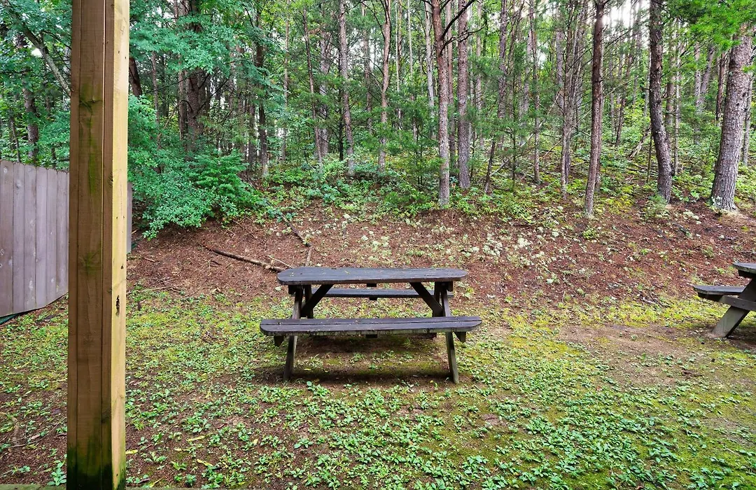 Mountain Meadows-1