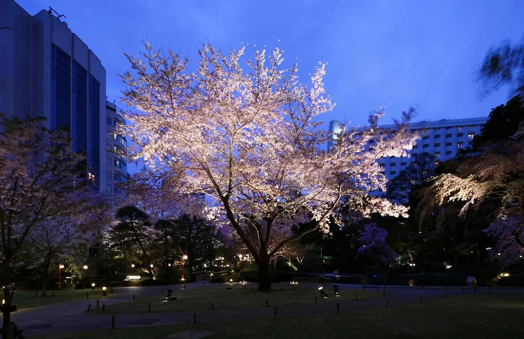 The Prince Sakura Tower Tokyo, Autograph Collection-1