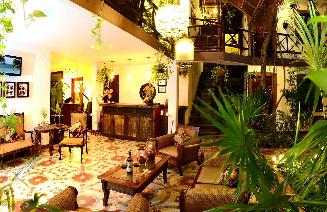 Posada Mariposa Boutique Hotel - 5Th Avenue-1