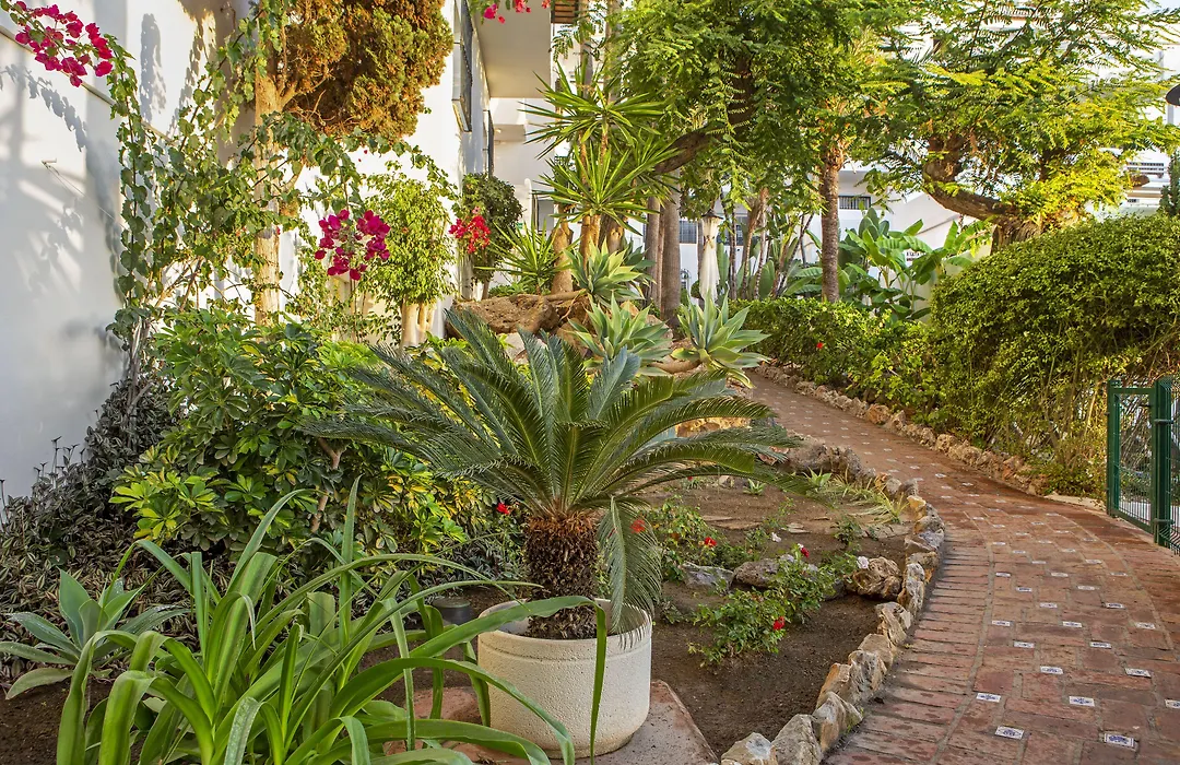 Royal Oasis Club At Pueblo Quinta-1
