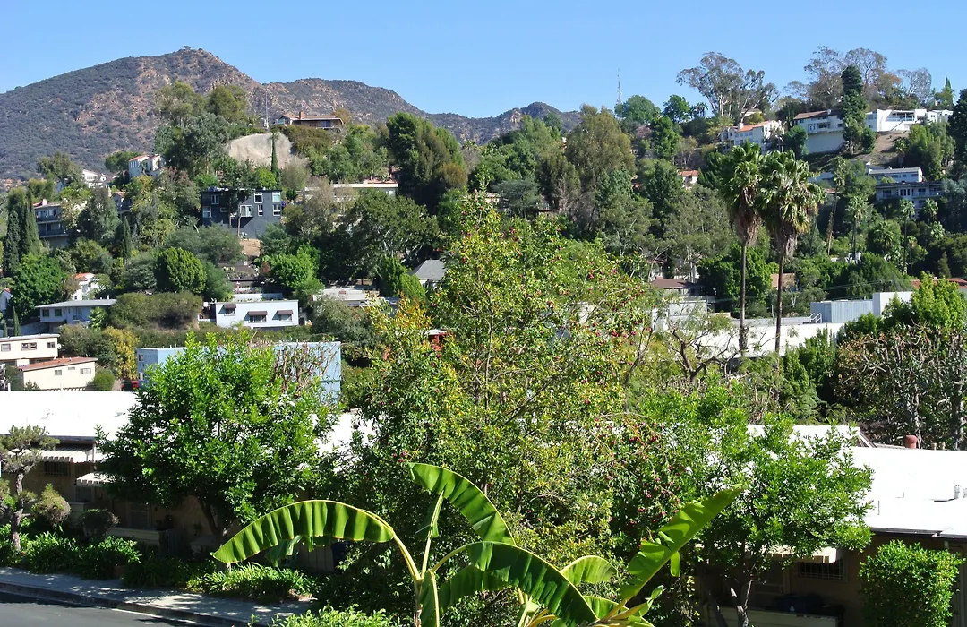 Bed And Breakfast In Hollywood Hills-1