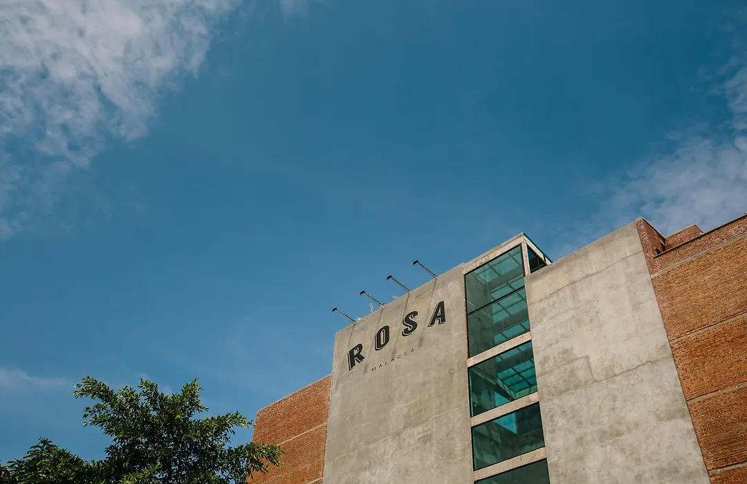 Rosa Malacca-1