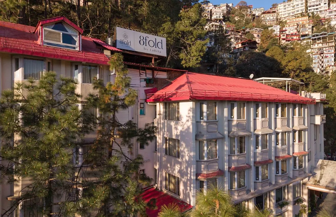 8Fold By Larisa, Shimla-1