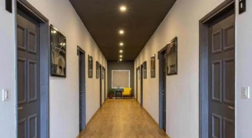Loft 24-1