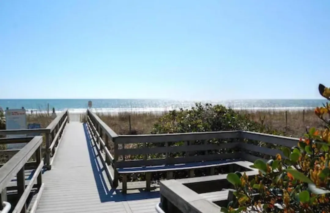 Ocean Forest Colony-1