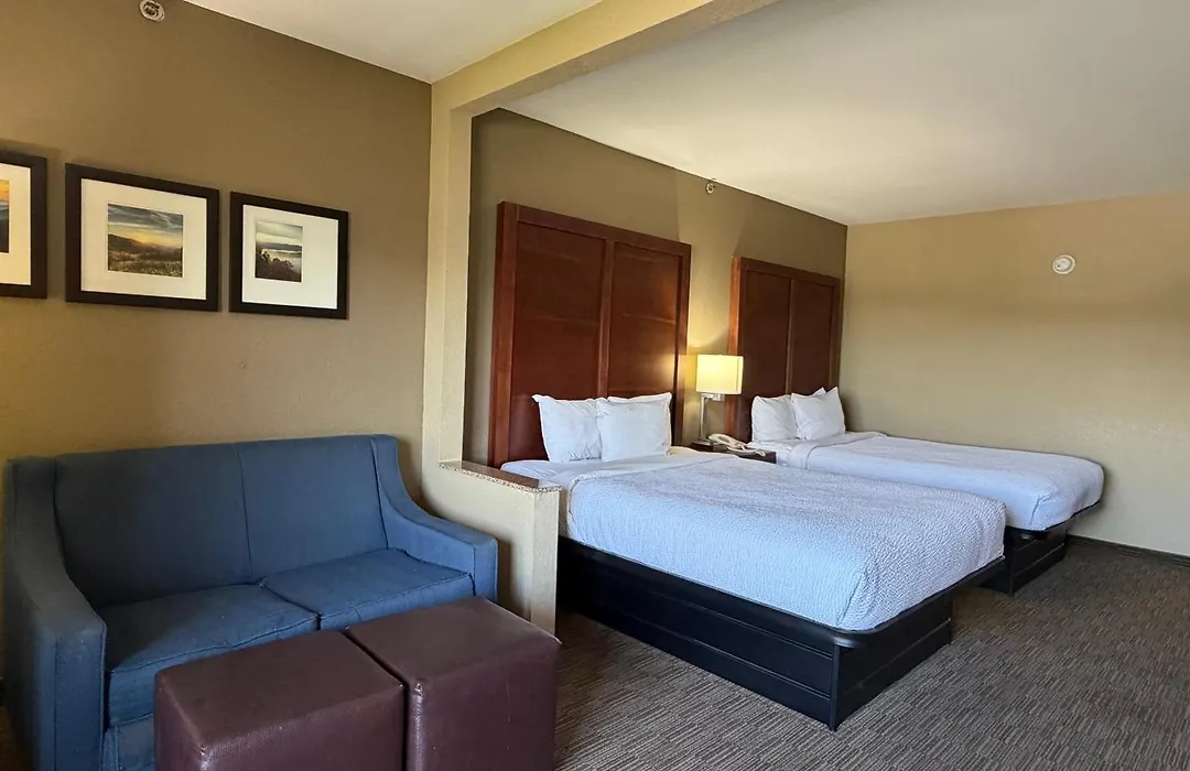 Vista Suites Near Island And Leconte Convention Center-1