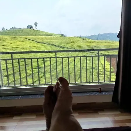 Tea Estate View Stay-2