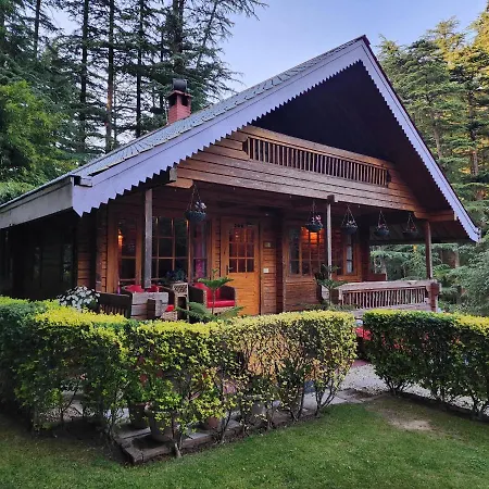 The Chalets Naldehra-3