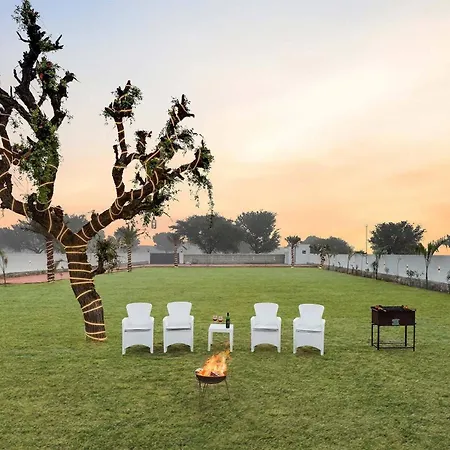 Stayvista'S Kundan Villa - Pet-Friendly Villa With Sprawling Lawn, Outdoor Pool-3