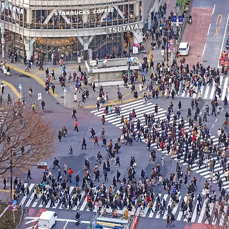 Ginza Creston-2