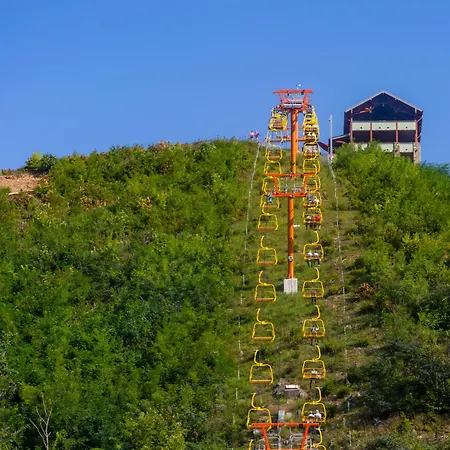 Another Day In Bearadise- Cozy Cabin Retreat In The Smokies Comfort & Fun For All-3