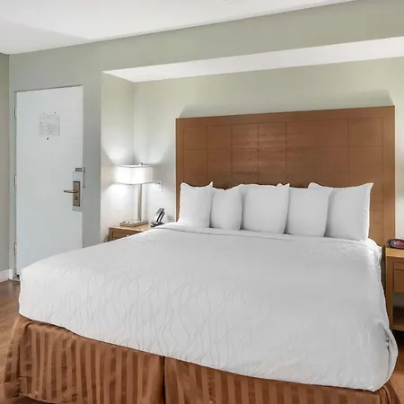 Best Western Inn At Palm Springs-3
