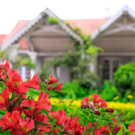 The Alcove By Stayvista - 4Bhk Villa Near Udagamandalam Railway Station With Bbq-2
