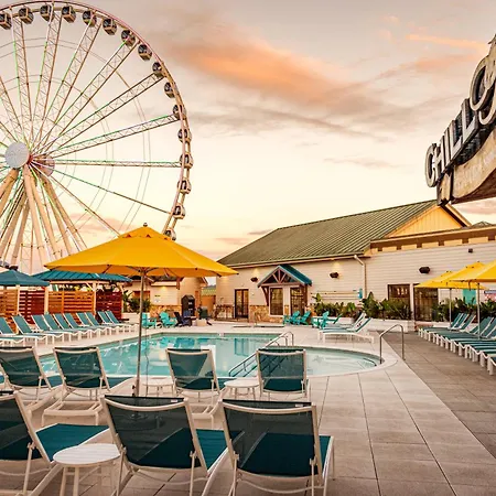 Margaritaville Island Hotel-2