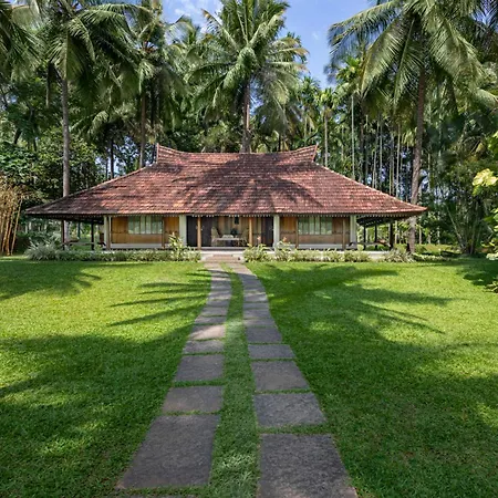 Big Banyan Vineyard & Resort-3