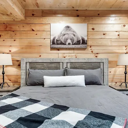 Happy Bear Lodge - 1 Mile To Parkway - Hot Tub, Pool Table & Theater!-3