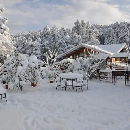 The Chalets Naldehra-2