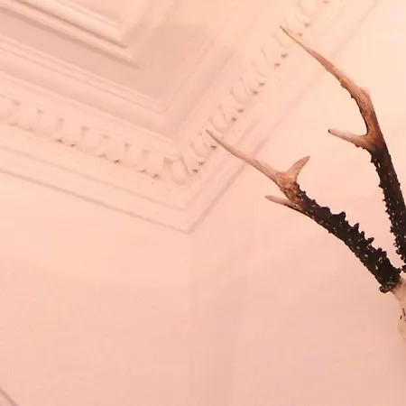 Antler Guest House-3