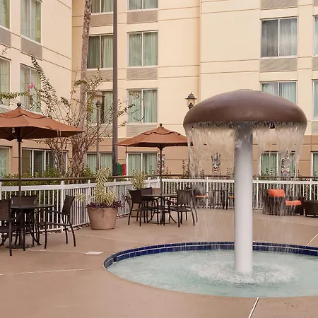 Hilton Garden Inn Orlando Airport-2