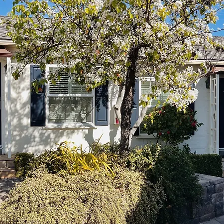 Le Petit Pali Brentwood-2