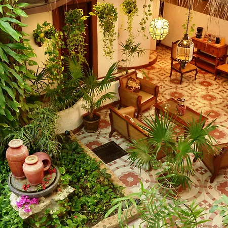 Posada Mariposa Boutique Hotel - 5Th Avenue-2
