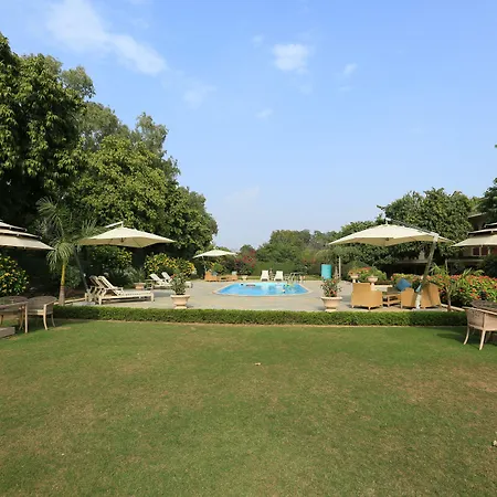 Sawai Man Mahal-3