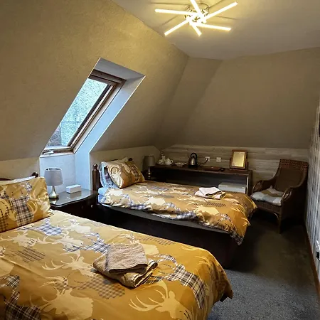 Acer Lodge Guest House-2