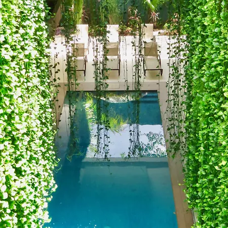Palmarena Rooms & Residences - Long Stay Comfort With Parking, Sauna, Gym & Pool - Steps From 5Th Avenue-3