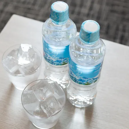 Tosei Hotel Cocone Asakusa-3