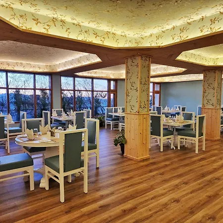 Hotel Pineview Shimla-2