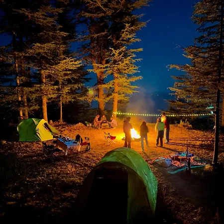 Club Mahindra Pristine Peaks Naldehra-3