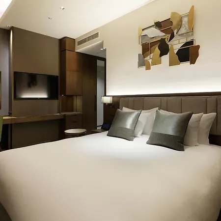 Hotel The Celestine Ginza-2
