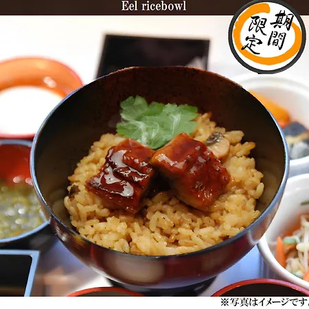 Dormy Inn Akihabara-2