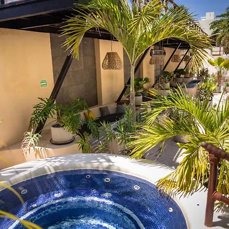 Porto Playa Condo Hotel And Beach Club-2